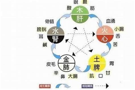 五行缺水ptt|五行缺水如何補救，很多人並不知道補水還有這些方法